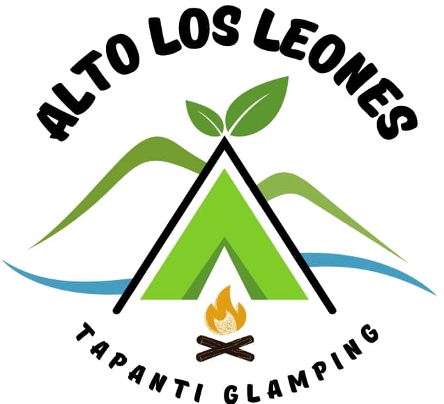 logo alto los leones ultimo caro page 0001